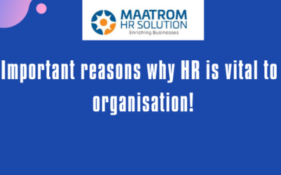 5 Important reasons why HR is vital to an organisation!