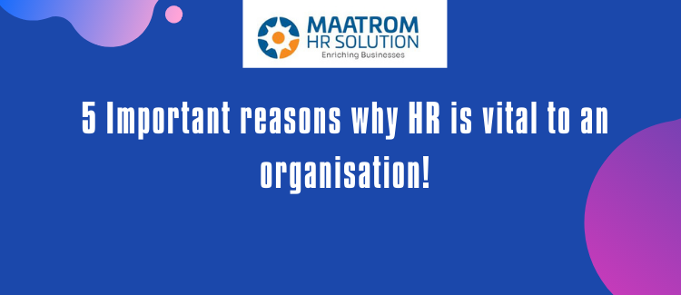 5 Important reasons why HR is vital to an organisation!